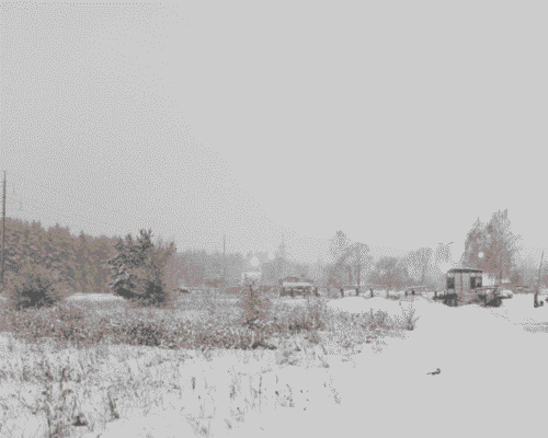 Weathering the Storm